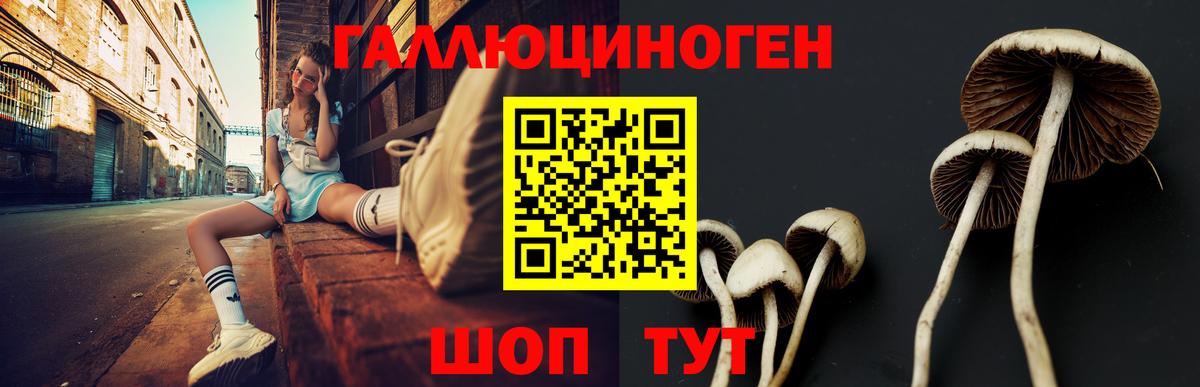 Галлюциногенные грибы Cubensis  Вход с VPN  Каменск-Шахтинский  Псилоцибиновые грибы мухоморы 