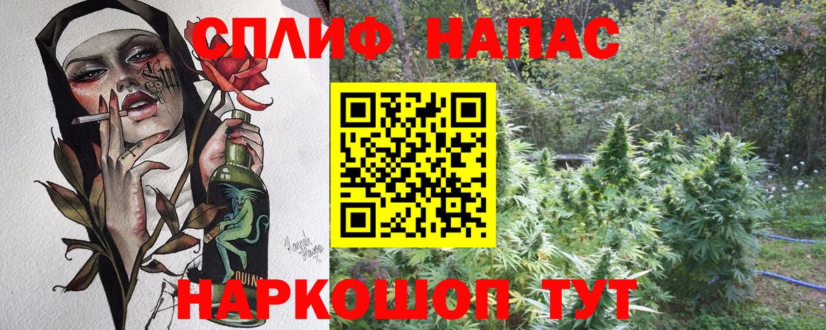 Шишки марихуана White Widow Каменск-Шахтинский